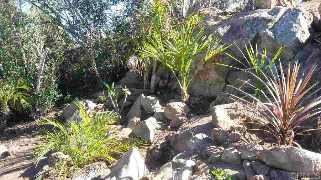 Quail Hill Road Fallbrook, CA 92028 - Photo 10 of 15 Gallery Image 10