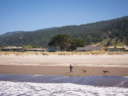 $10,500,000 | 246 Seadrift Road, Stinson Beach, CA 94970