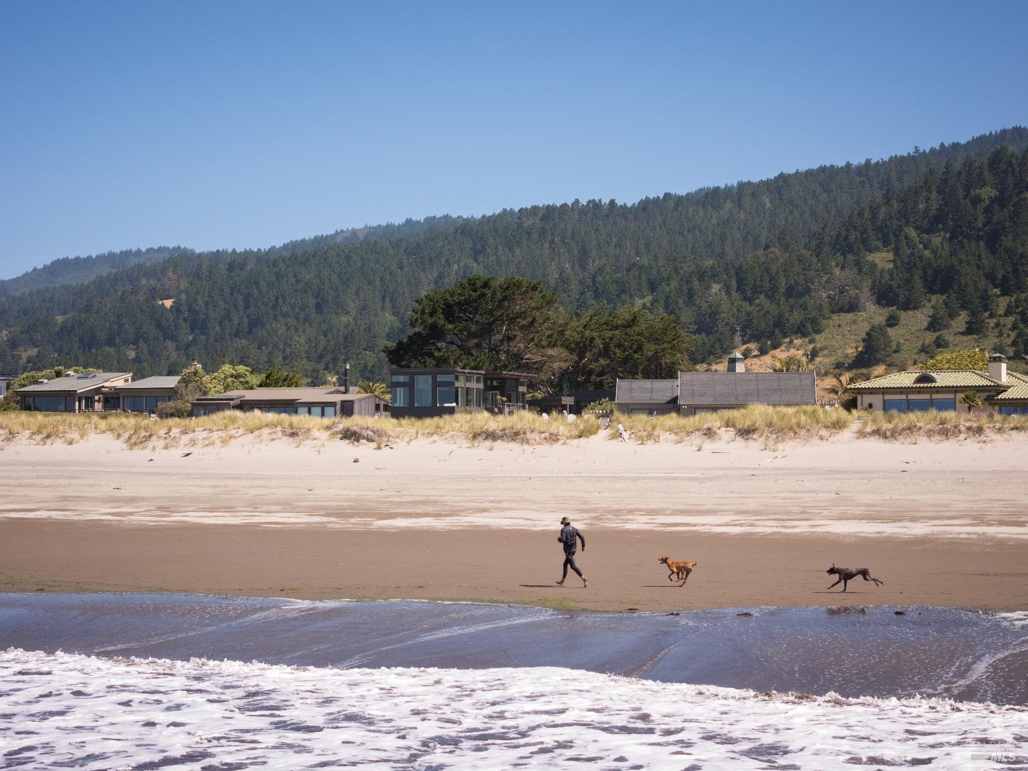 246 Seadrift Road Stinson Beach, CA 94970 - Photo 4 of 12