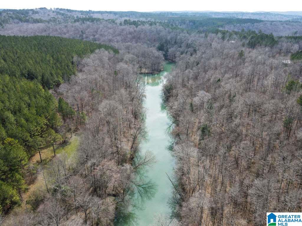 Lot #8 Turkey Bend Drive, Unit 8 Addison, AL 35540 - Photo 10 of 13