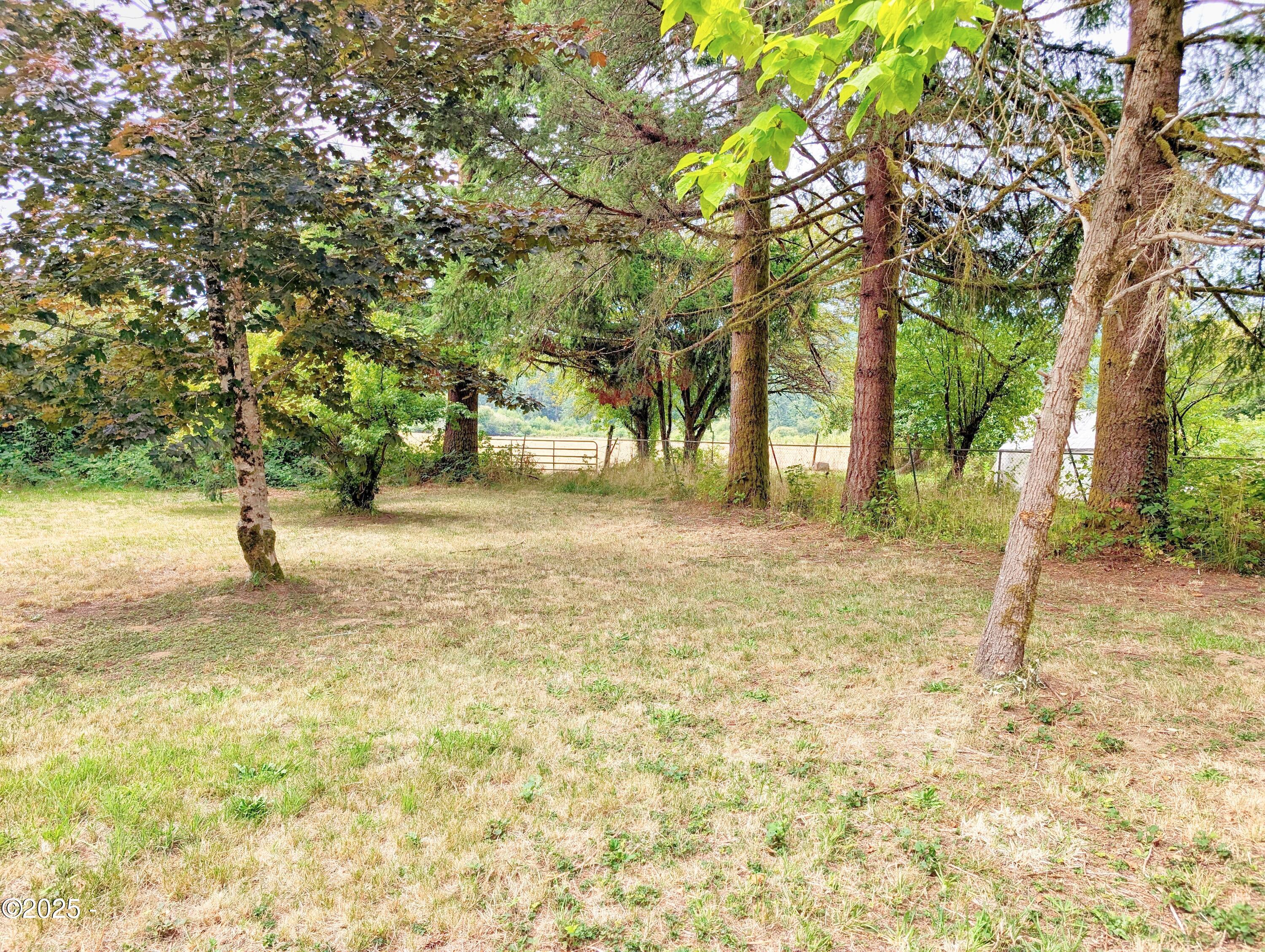1601 Moonshine Park Road Logsden, OR 97357 - Photo 16 of 18 Back Yard