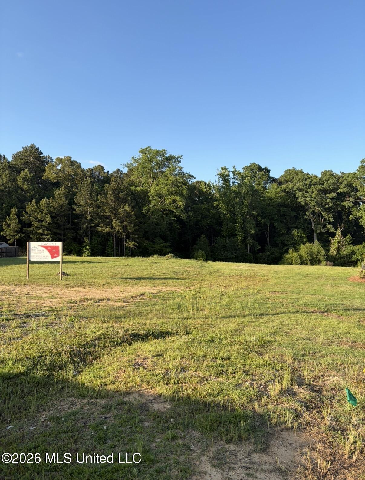 6599 Wirtz Road Flowood, MS 39232 - Photo 2 of 2 IMG_5264