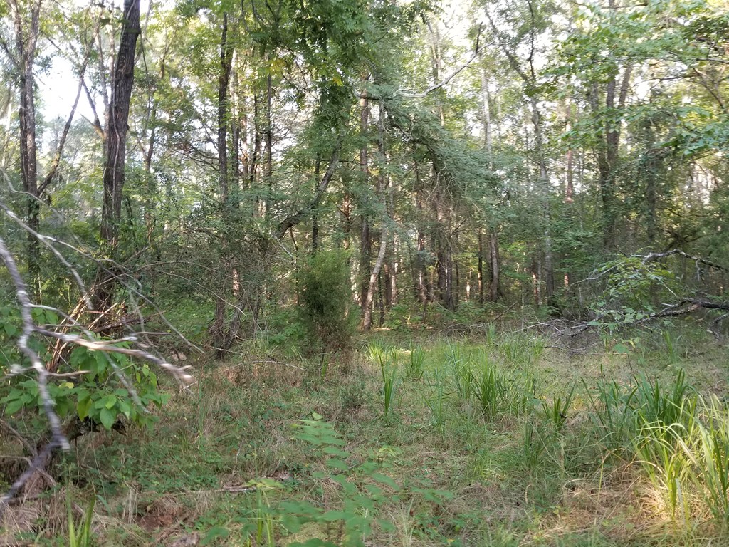 Lot 10 Hadley Road Pine Mountain, GA 31822 - Photo 3 of 9 Gallery Image 3