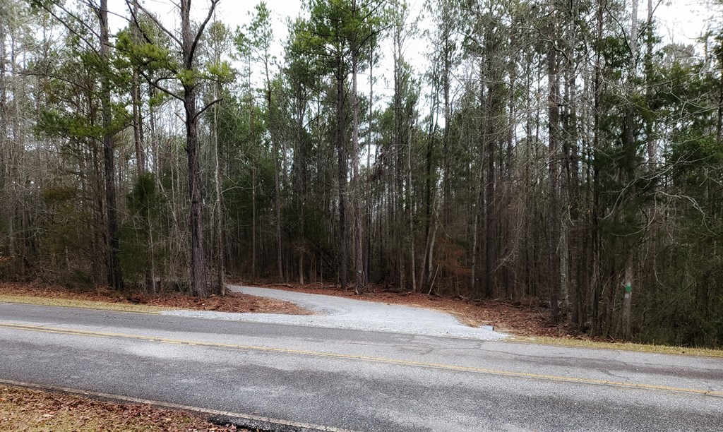 Lot 10 Hadley Road Pine Mountain, GA 31822 - Photo 7 of 9 Gallery Image 7