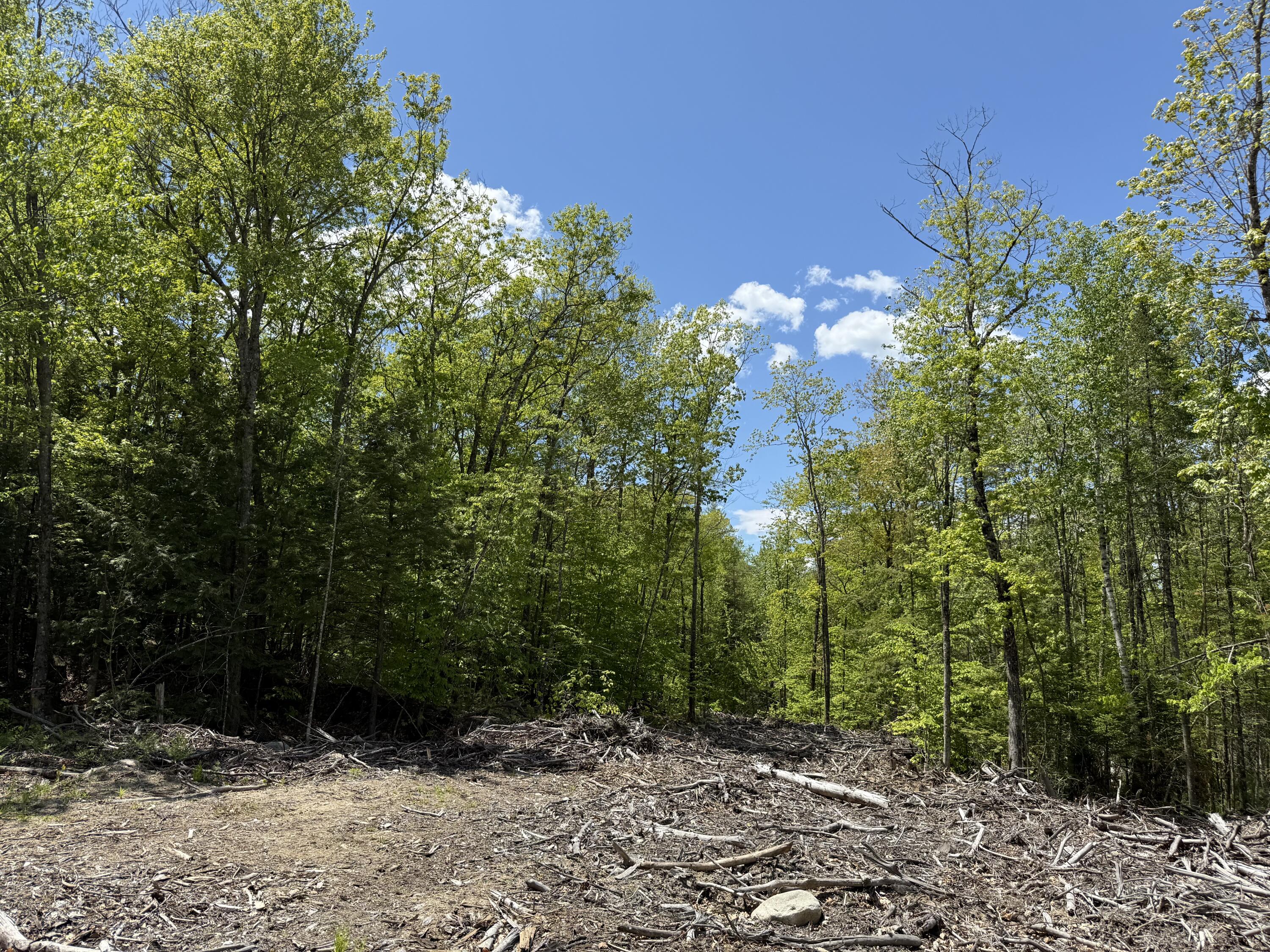Lot 1 Naples Road Harrison, ME 04040 - Photo 2 of 5 Photo 3