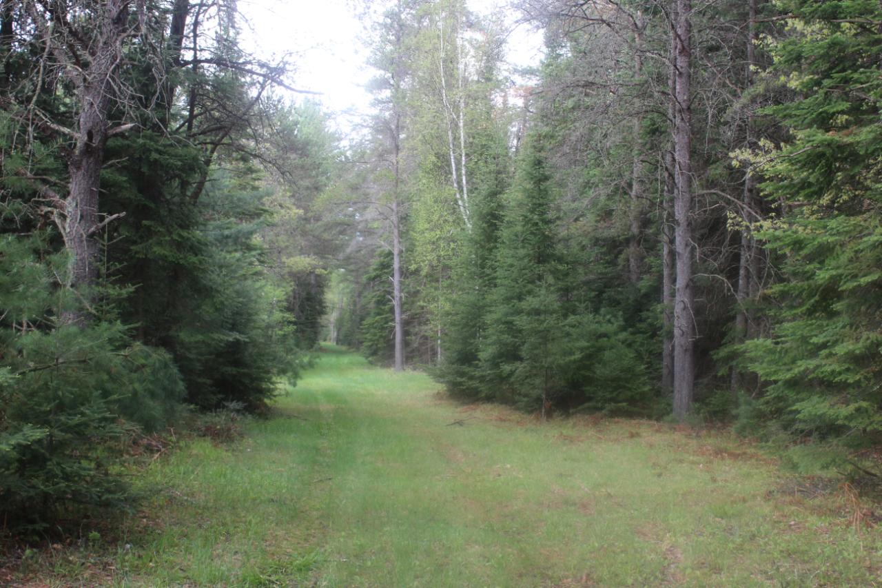 Off Silver Lake Road Rhinelander, WI 54501 - Photo 9 of 18 Gallery Image 9