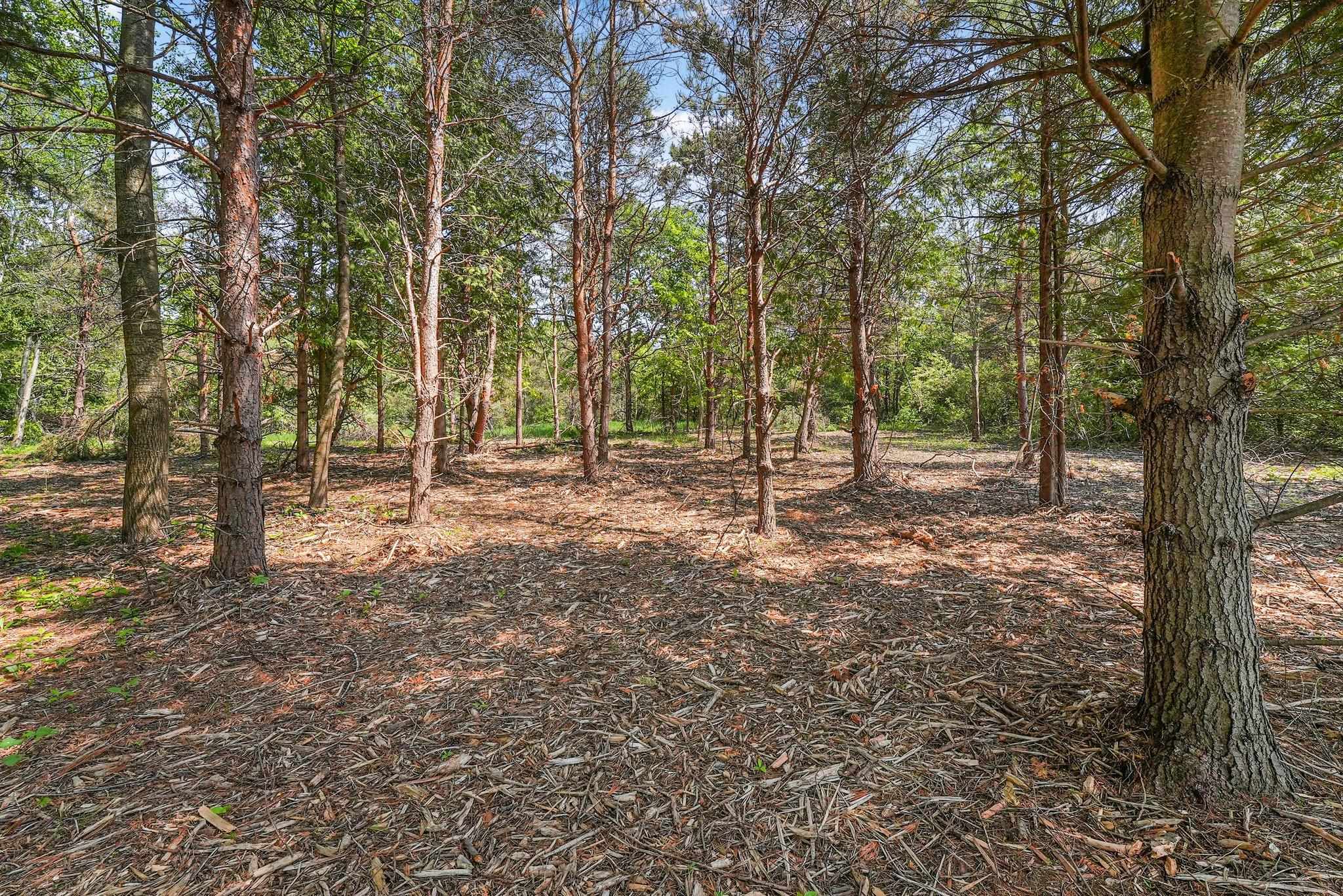North Nelson Road Northport, MI 49670 - Photo 22 of 28 Gallery Image 22