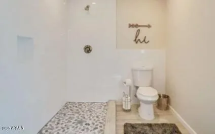 a bathroom with a toilet and a shower