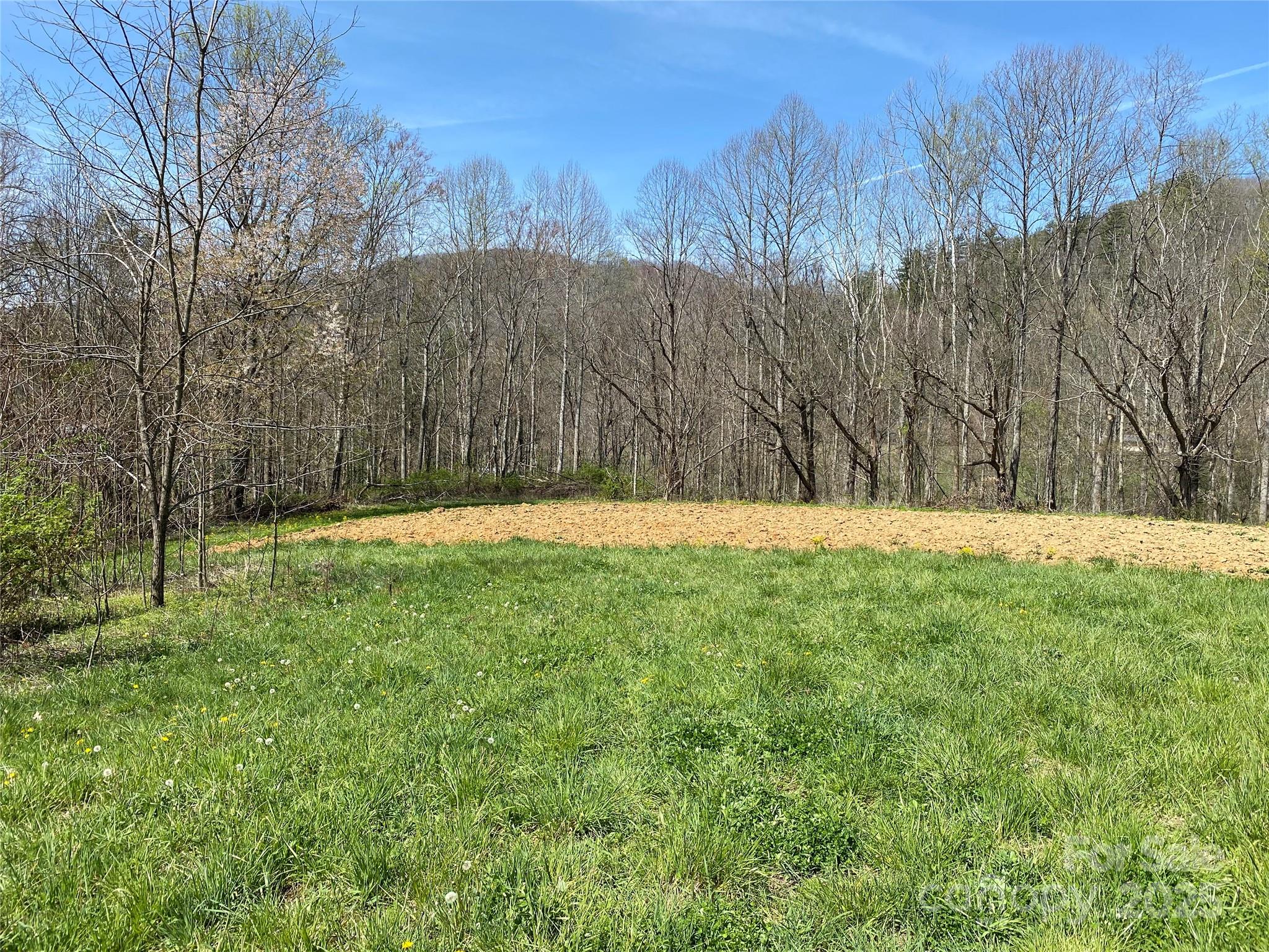 353 Perkins Road Bakersville, NC 28705 - Photo 16 of 48 Gallery Image 16