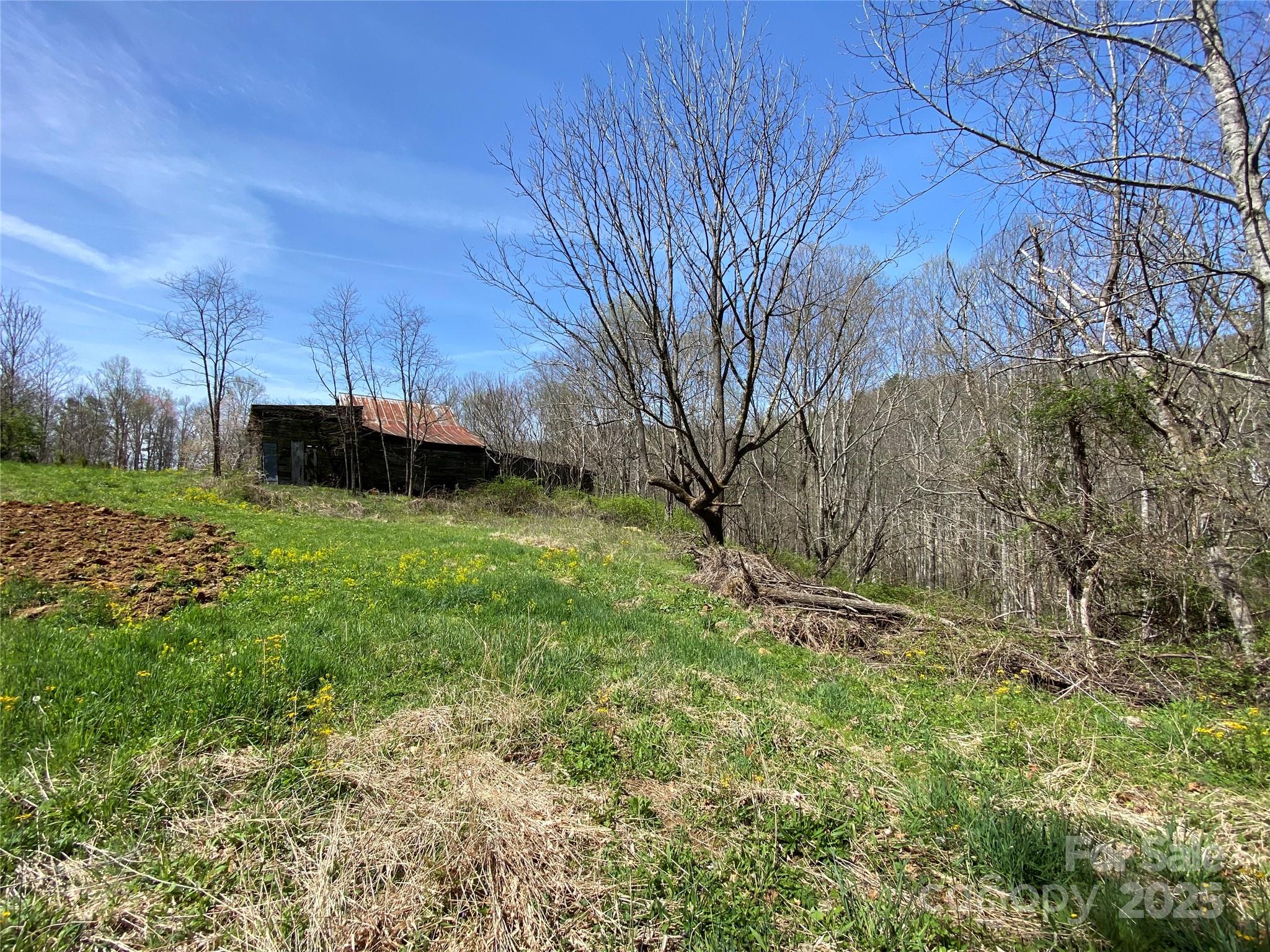 353 Perkins Road Bakersville, NC 28705 - Photo 27 of 48 Gallery Image 27