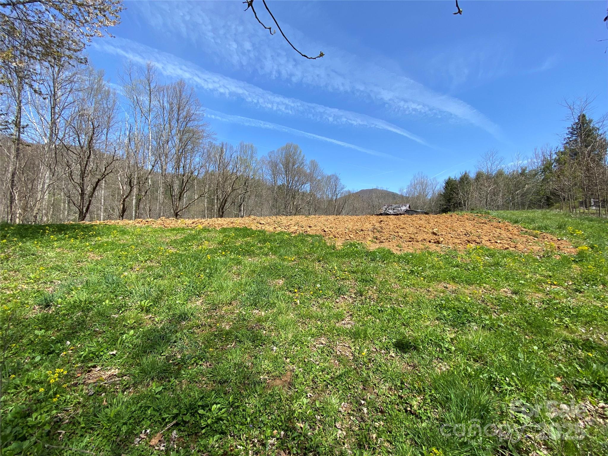 353 Perkins Road Bakersville, NC 28705 - Photo 30 of 48 Gallery Image 30