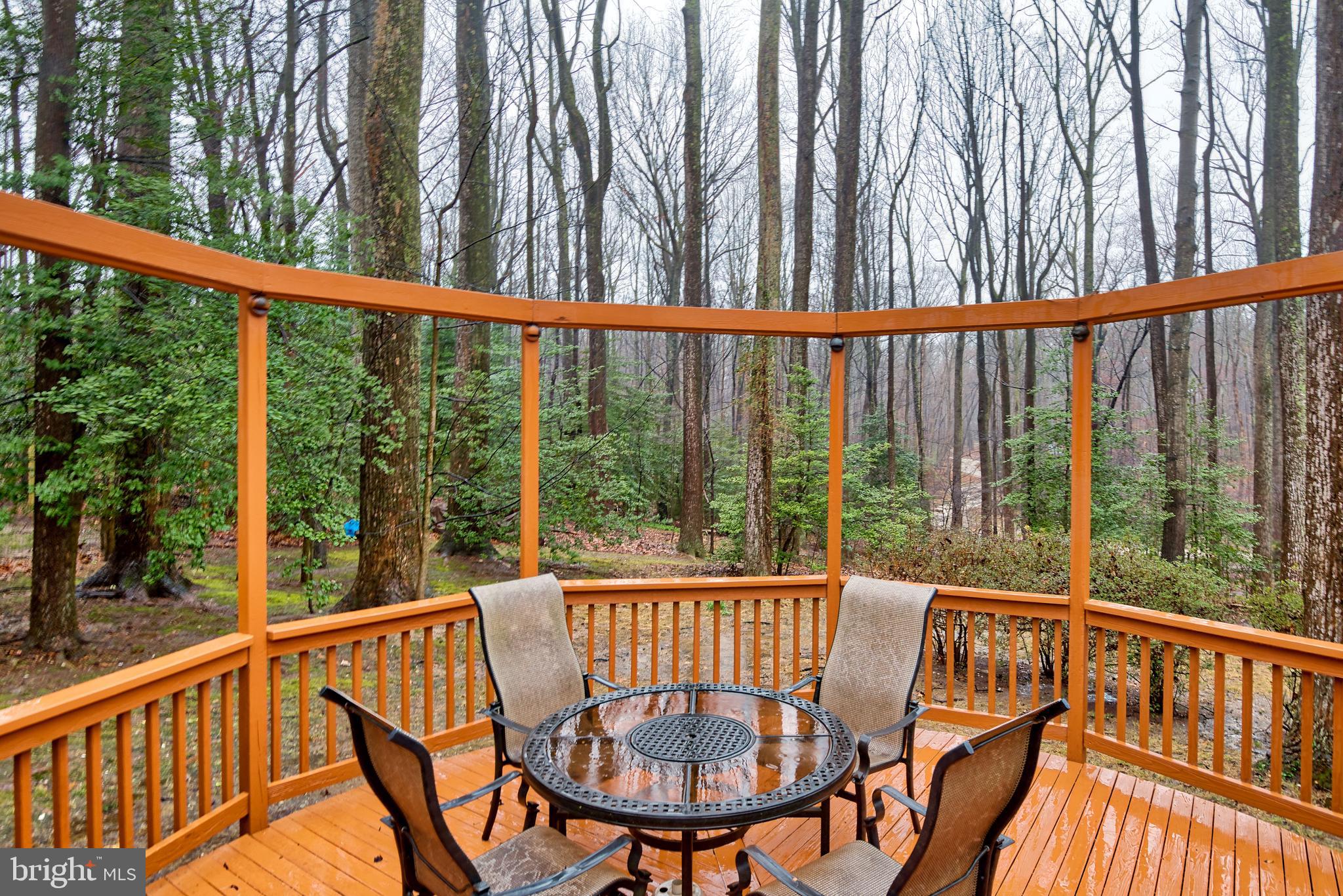 2506 Pegasus Lane Reston, VA 20191 - Photo 50 of 51
