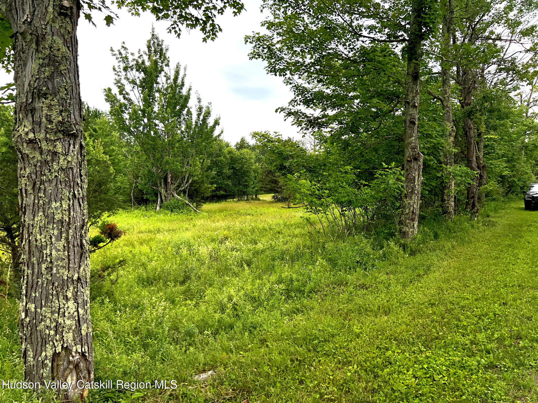 570 Albert Slater Road Prattsville, NY 12468 - Photo 16 of 23 IMG_4210