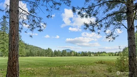 a view of a big yard with large trees