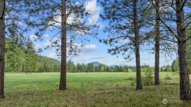 1950 Ruby King Loop Cle Elum, WA 98922 - Photo 4 of 18 a view of a garden with a tree
