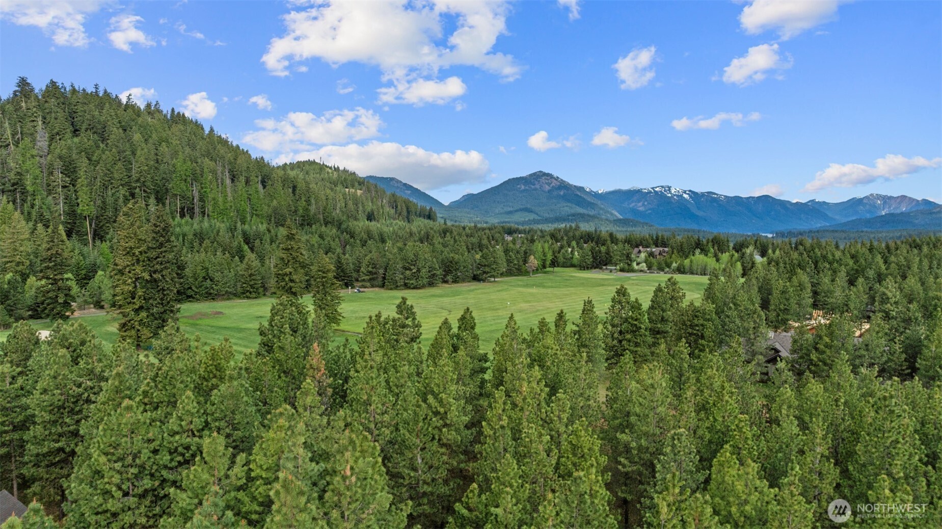 1950 Ruby King Loop Cle Elum, WA 98922 - Photo 8 of 18 a view of an lush green forest
