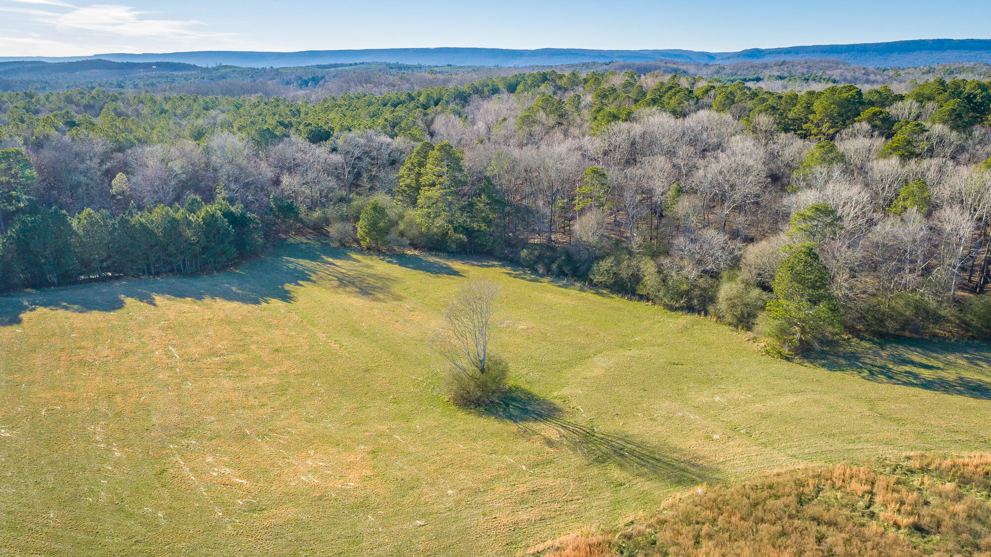 434 Farm Road Trion, GA 30753 - Photo 111 of 114 434 Farm Road HD-7