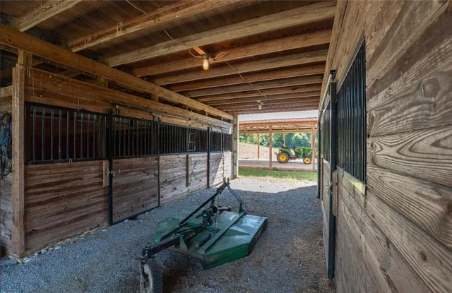 a view of a backyard of a house with a large tree