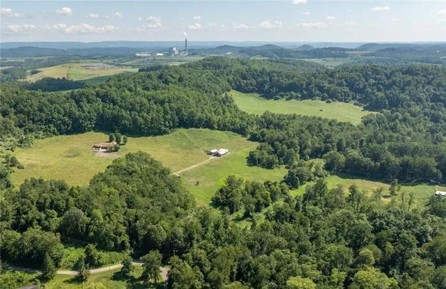 a view of a yard with a street view