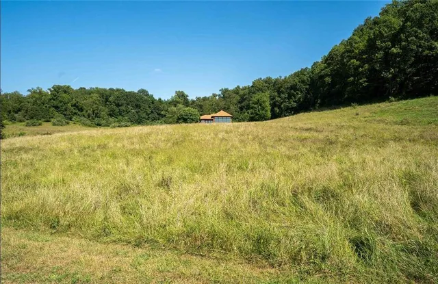 a view of a yard with an outdoor space