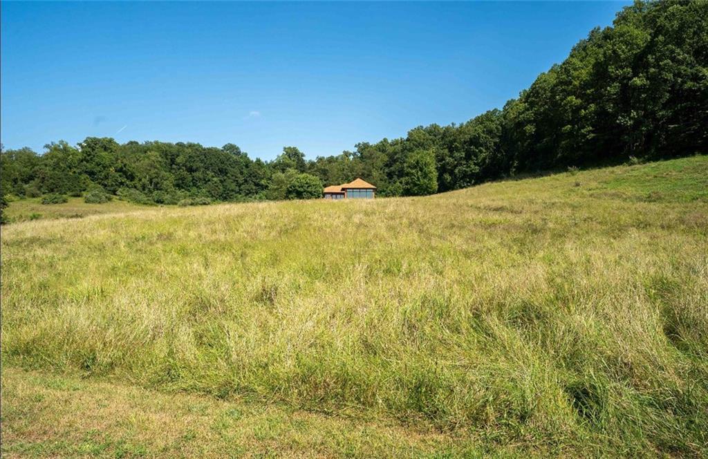 126 Big Foot Road Dilliner, PA 15327 - Photo 5 of 50