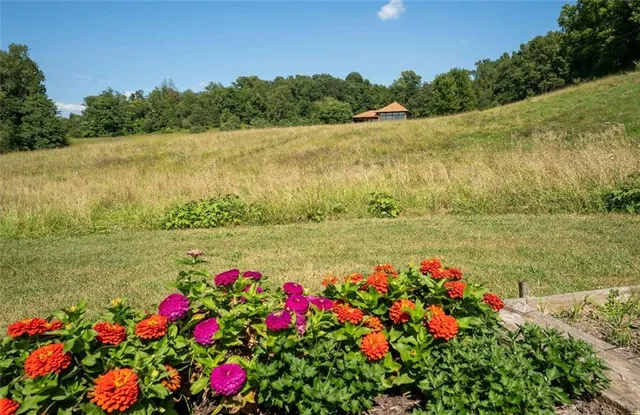 a view of a lake with a big yard