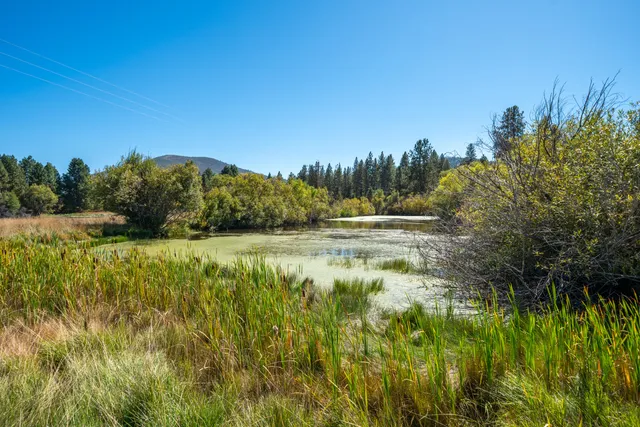 $780,000 | Brown Road, Fall River Mills, CA 96028