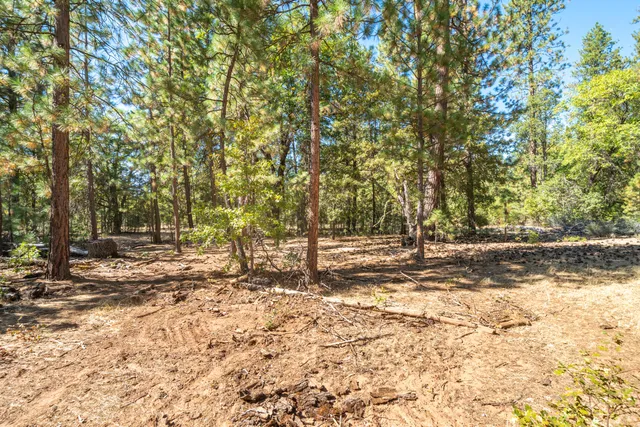 $780,000 | Brown Road, Fall River Mills, CA 96028