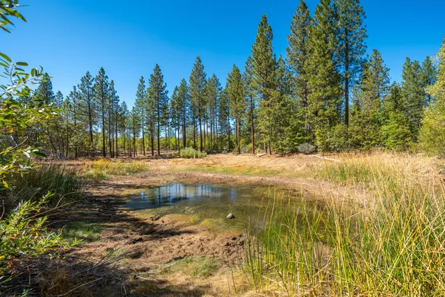 $780,000 | Brown Road, Fall River Mills, CA 96028