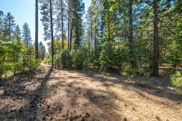 $780,000 | Brown Road, Fall River Mills, CA 96028