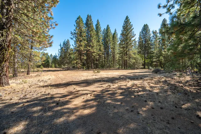 $780,000 | Brown Road, Fall River Mills, CA 96028