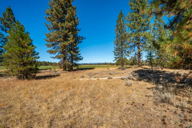 a view of an ocean with a mountain