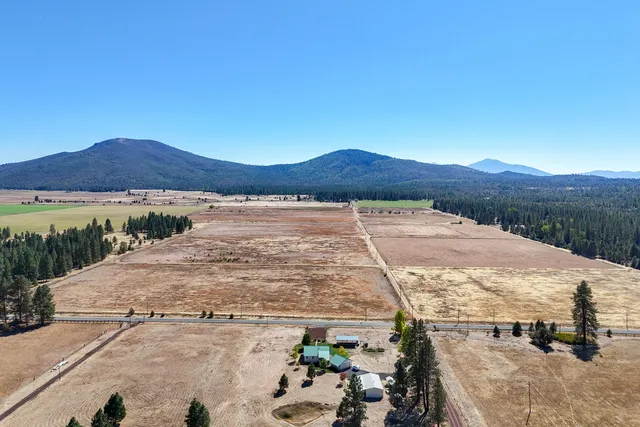 a view of a garden with a bench