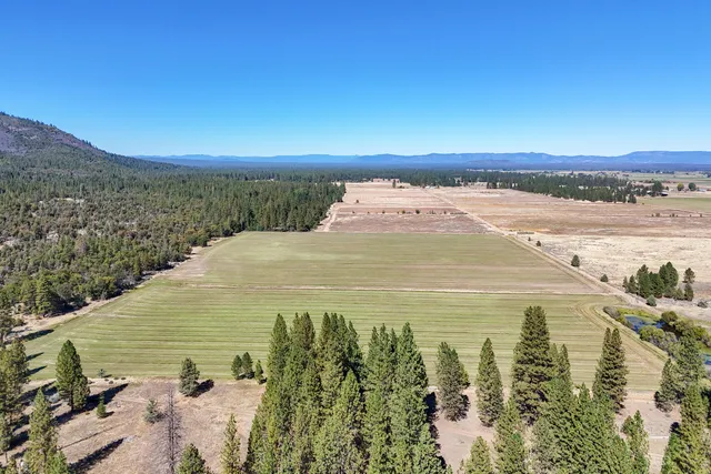a view of dirt yard with a large tree