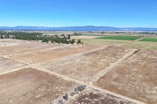 a view of a yard with a tree