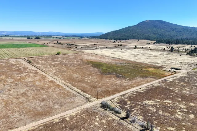a view of a patio with a table and chairs under an umbrella with large trees