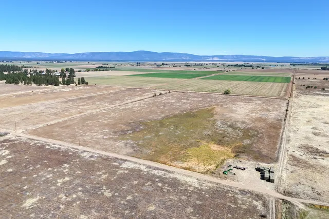 a view of a yard with trees