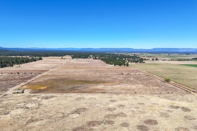 a backyard of a house with plants and trees