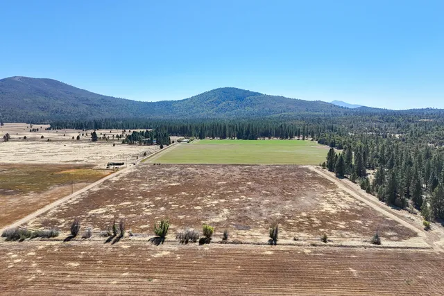 a view of yard with green space