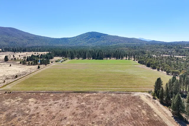 a view of outdoor space with trees all around