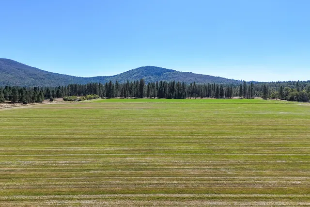 a view of outdoor space with trees