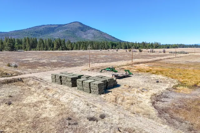 a view of a lake with beach and large trees