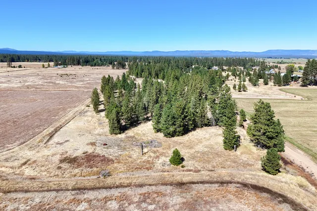 $780,000 | Brown Road, Fall River Mills, CA 96028