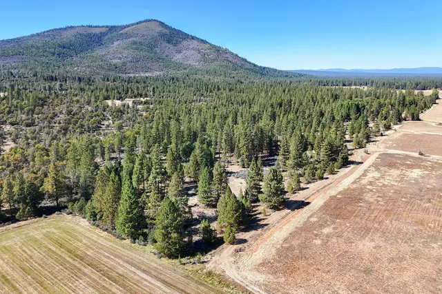 $780,000 | Brown Road, Fall River Mills, CA 96028