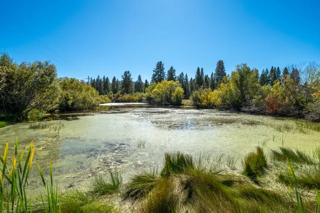 a view of a lake with a mountain view