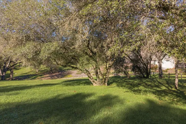 a view of outdoor space with trees all around