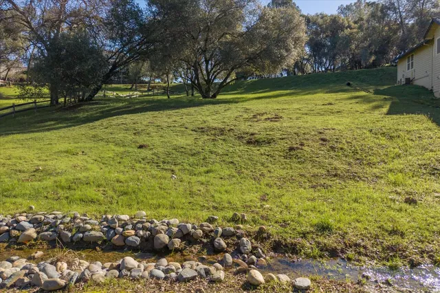 a view of a yard with large trees