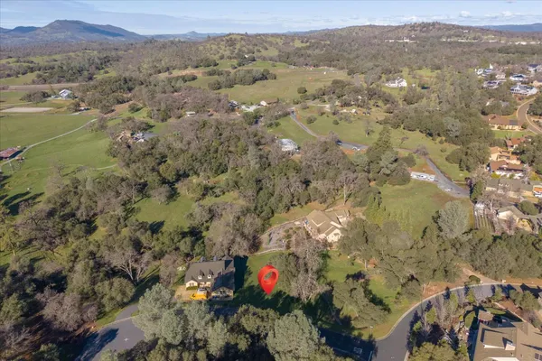 an aerial view of mountain and tree
