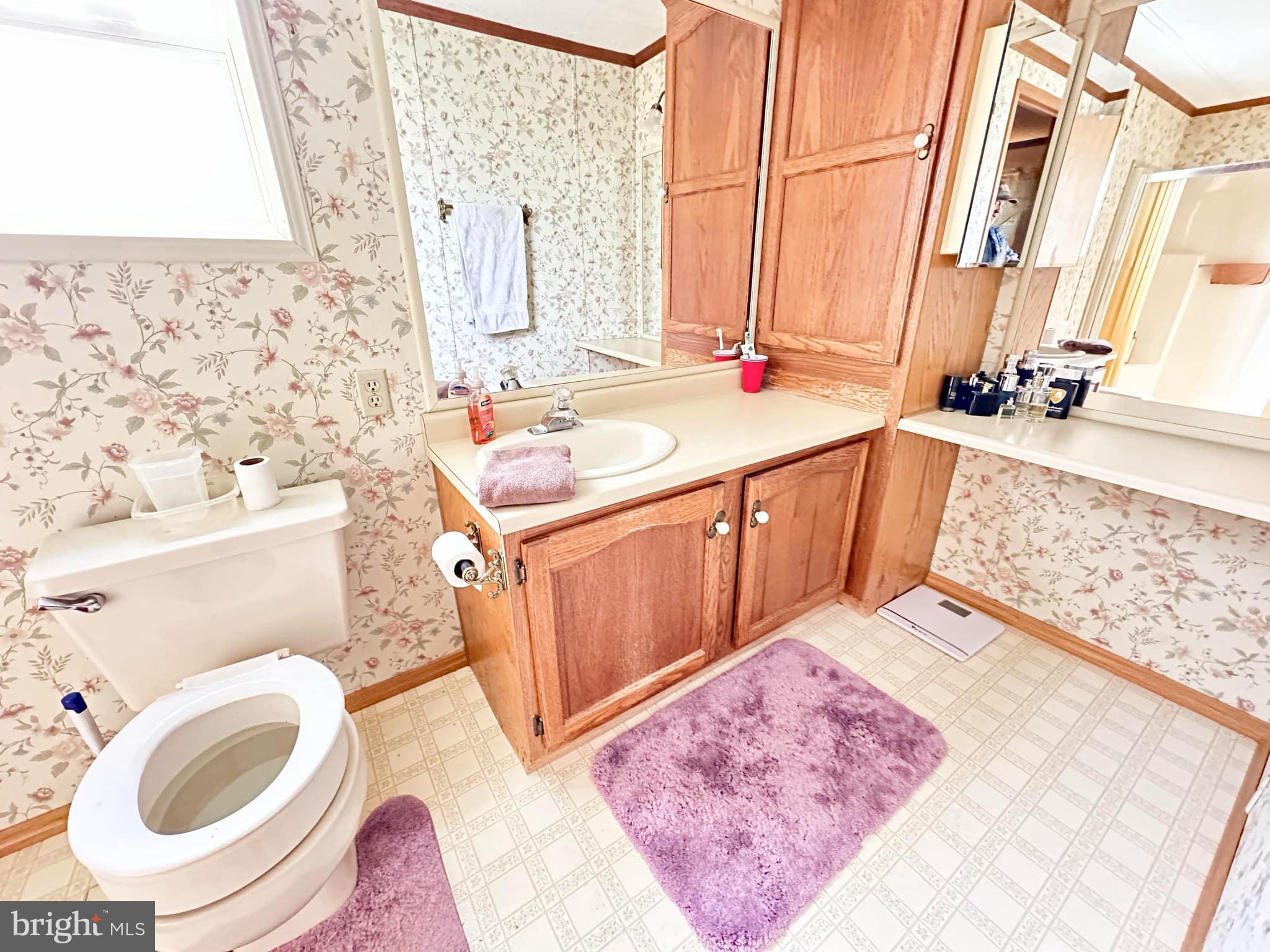 314 John Alden Drive Buena, NJ 08310 - Photo 18 of 23 a bathroom with a sink a toilet and mirror