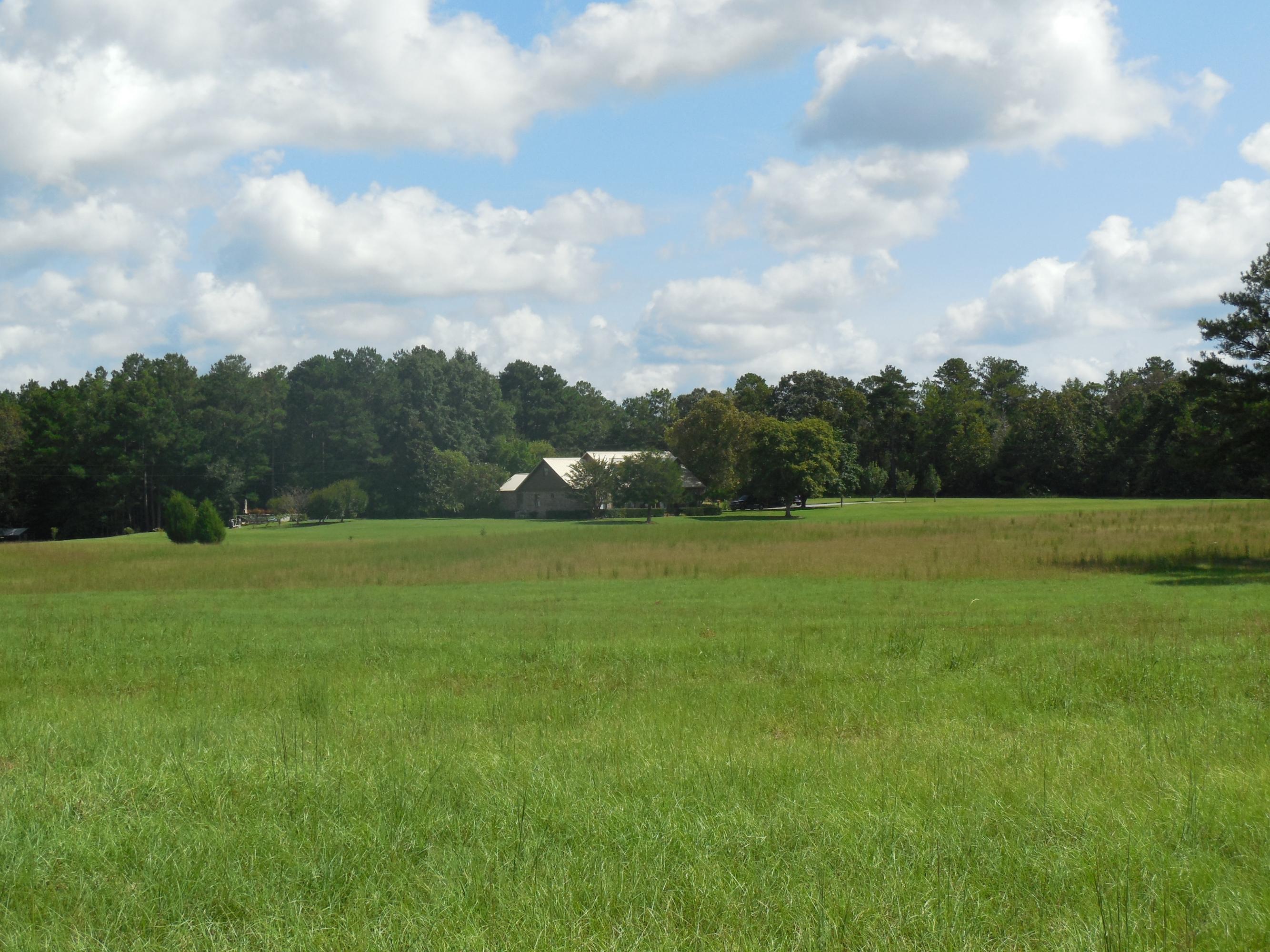173 South Herring Road Opelika, AL 36804 - Photo 3 of 58 Gallery Image 3